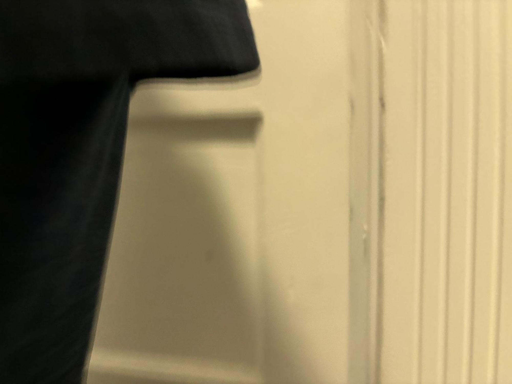 Homestay In Boston - Dorchester Fields Corner Area エクステリア 写真